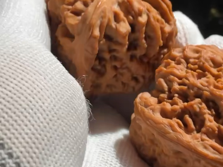 涿鹿老树南疆石!