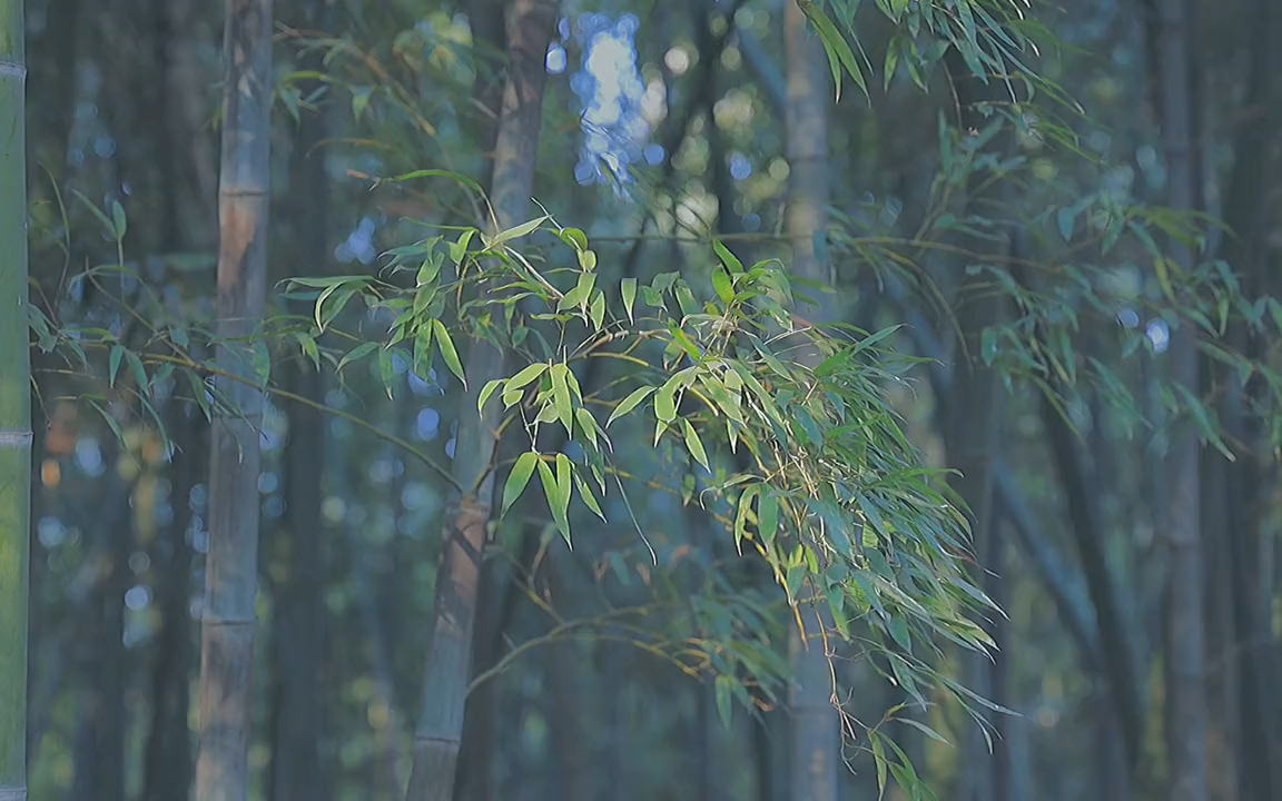 [图]做个在时光中慢慢盛开的人，知世故，但不世故，有傲骨...