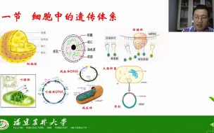 Download Video: 第二章 遗传的细胞学基础-第一节细胞中的遗传体系-茶创2020级