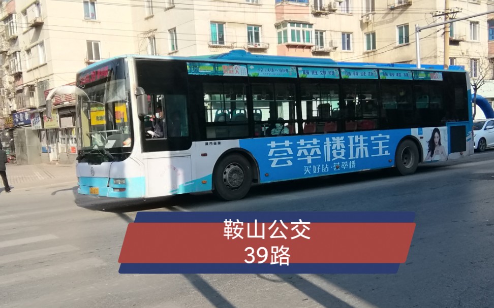 活动  【鞍山公交pov】(第14期)(总14期) 39路 立山站开往菁华园