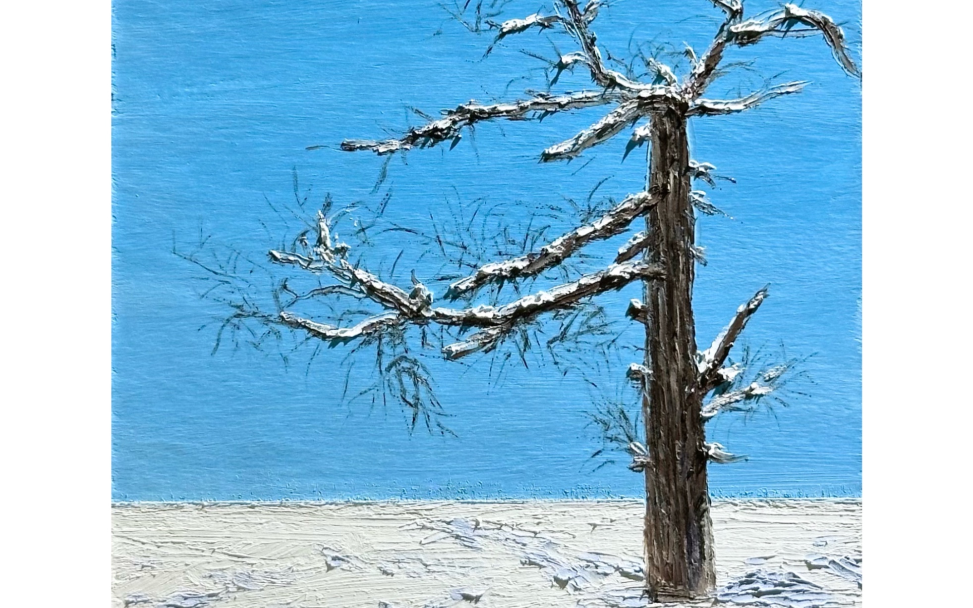 枯树逢春|油画棒教程