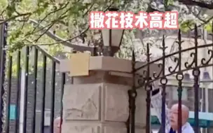 Descargar video: 大爷是懂浪漫的！疗养院大爷看到路人在拍照，充当氛围组帮忙撒花瓣雨。