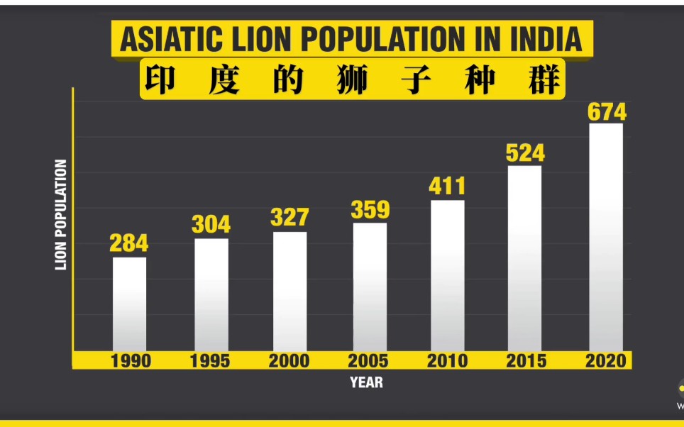 [图]印度吉尔森林国家公园 - 亚洲狮 - 保护宣传片