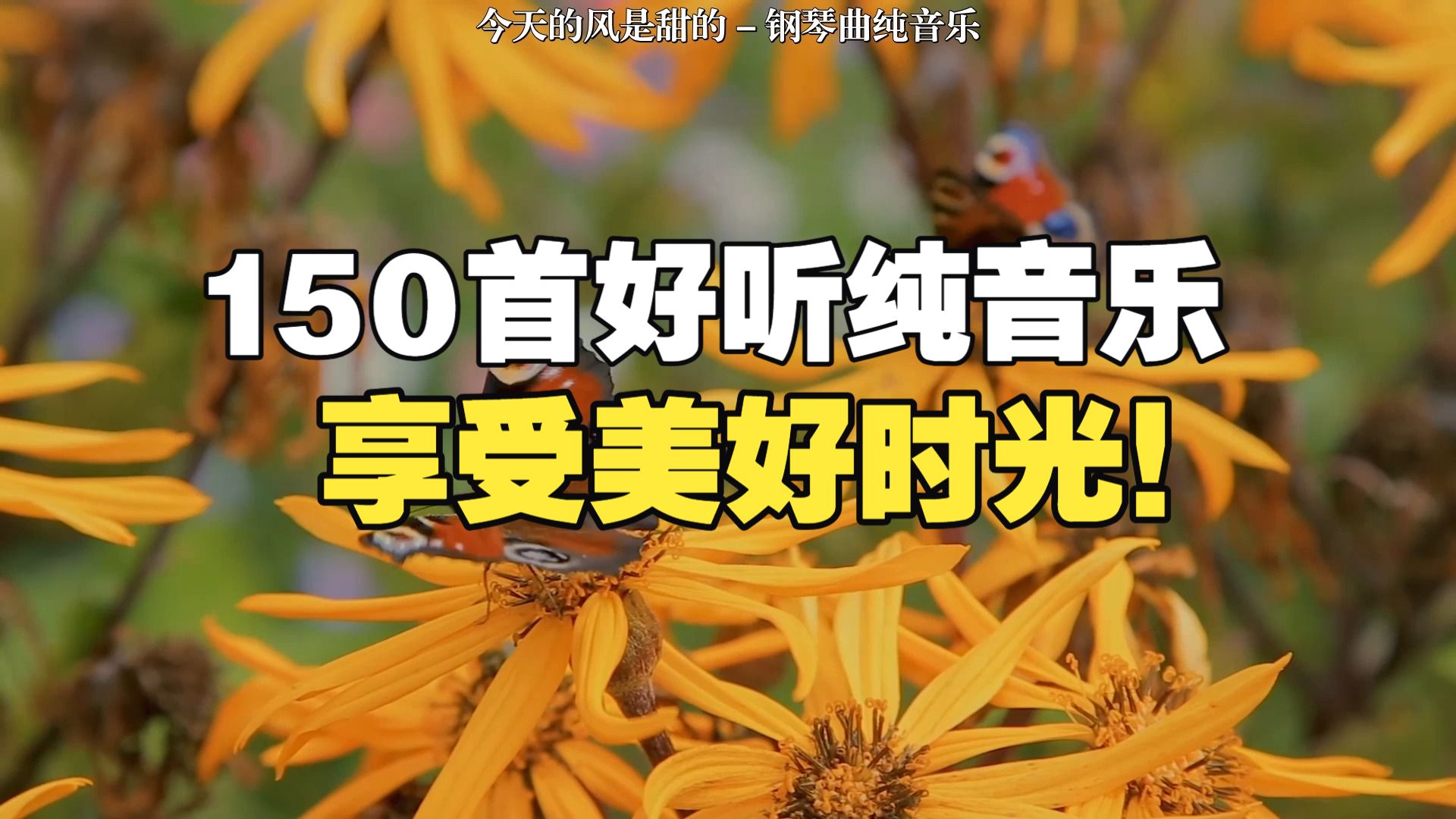 【时长8小时】适合看书听的轻音乐，专心写作业，享受轻音乐美好时光