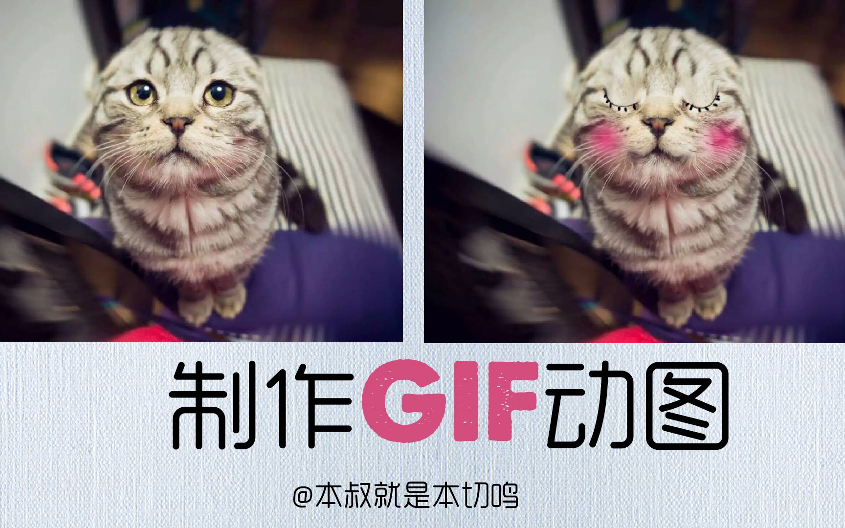 【PS教程】【本叔带你制作“GIF动图”!】哔哩哔哩bilibili