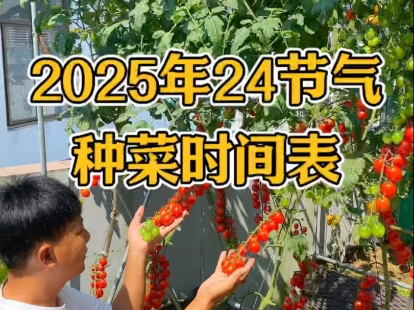 2025年全年种菜时间表来了,什么时间该种什么菜,都给大家整理好了#种菜小技巧#我的小菜园#一起学种菜哔哩哔哩bilibili