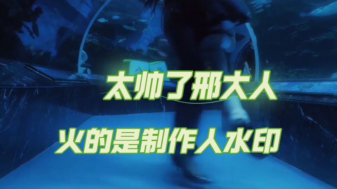以为歌火了 没想到火的是制作人水印 #太帅了邢大人 #bgm #说唱 #音乐 #小牌大耍