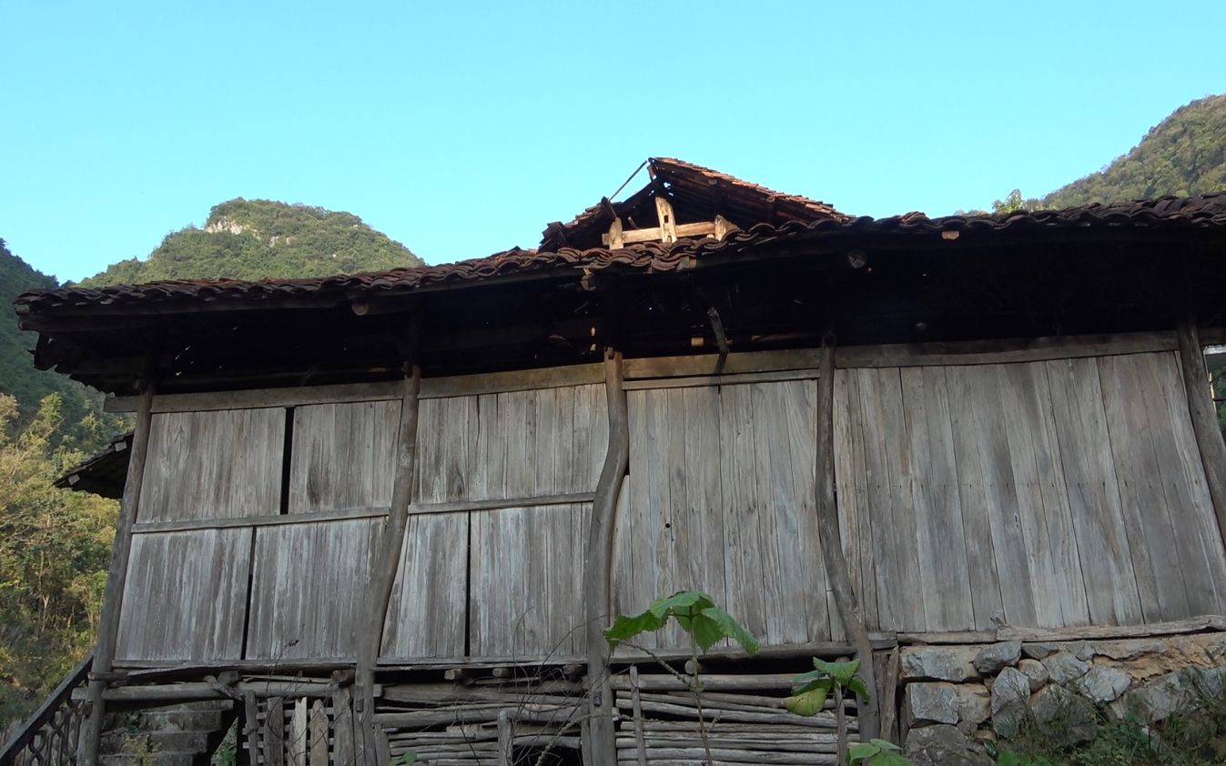 广西深山有个无人村,杂草丛生全村没有一个人,人都去那了?