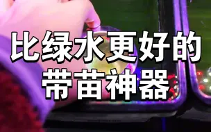 Tải video: 〖观背青鳉〗带苗子方式安利