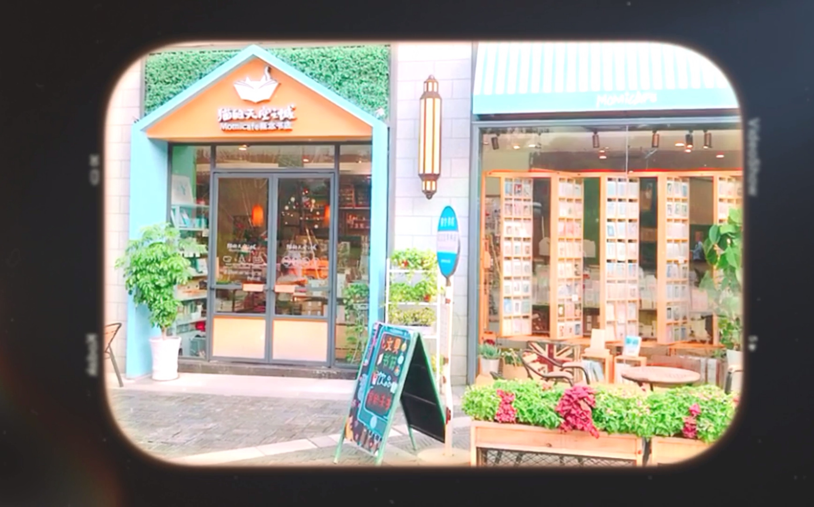 【探店】猫的天空之城武汉昙华林店一日店员体验日记