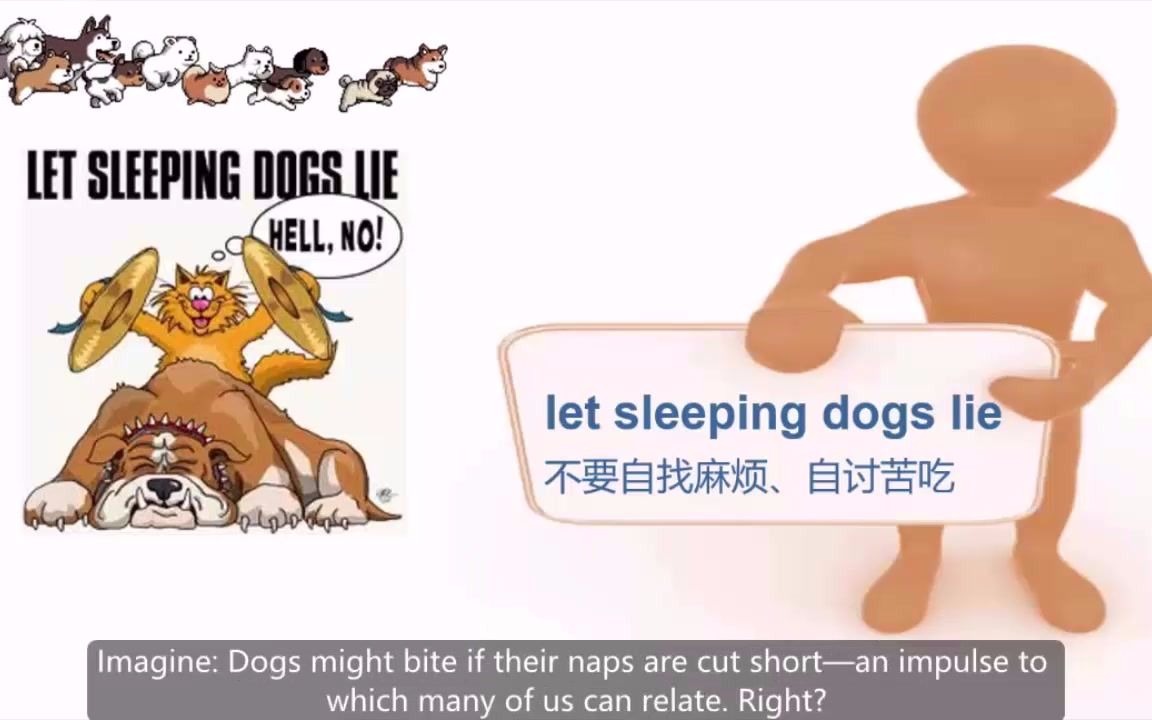 Dog Idioms与狗狗相关的英文习语哔哩哔哩bilibili