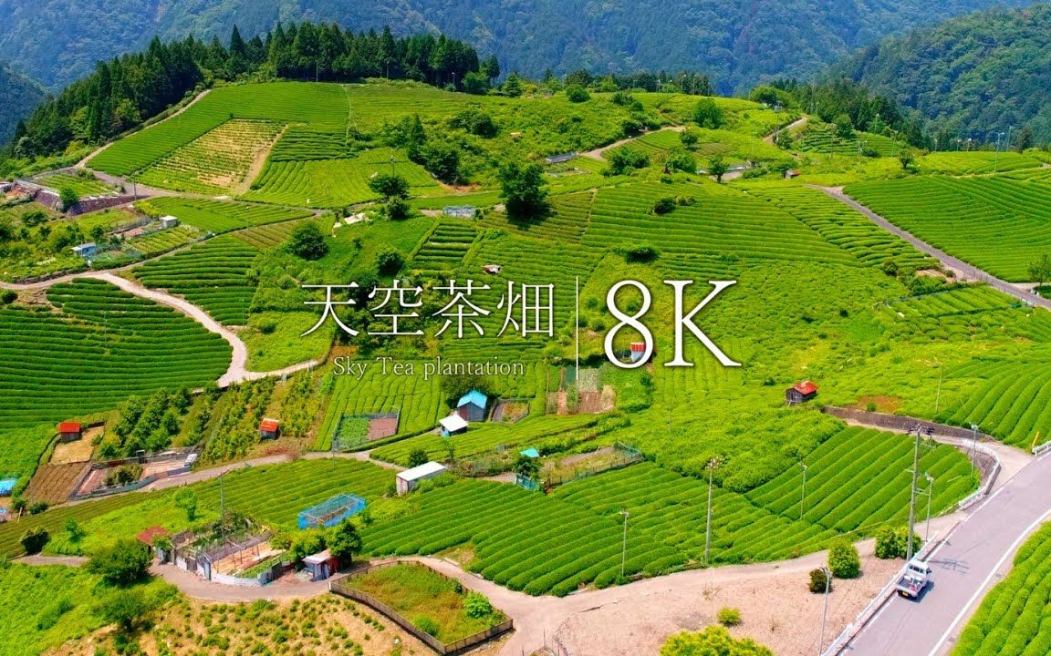 【4K风景】岐阜天空茶园哔哩哔哩bilibili