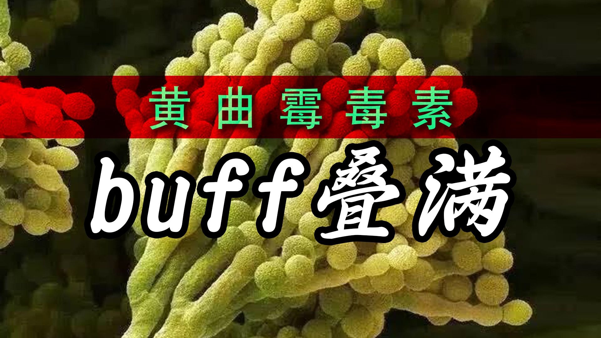 剧毒、分布广、普通烹饪无效，黄曲霉毒素有多开挂？