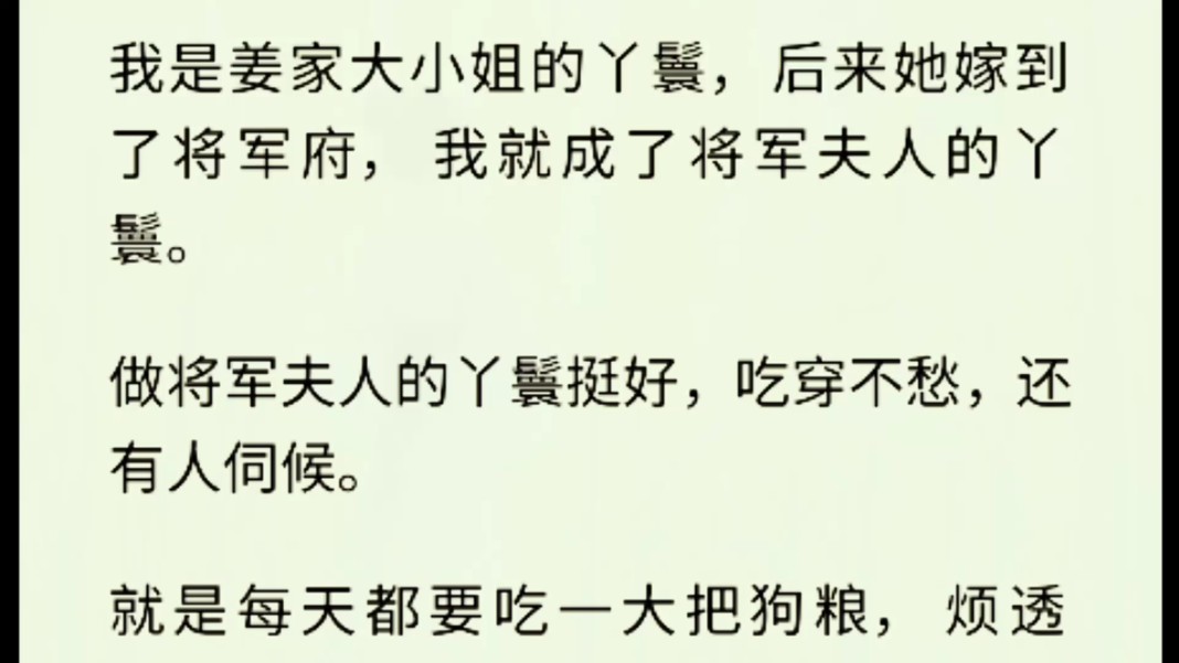 (全文完)做将军夫人的丫鬟挺好,吃穿不愁,还有人伺候.就是每天都要吃一大把狗粮,烦透了.哔哩哔哩bilibili