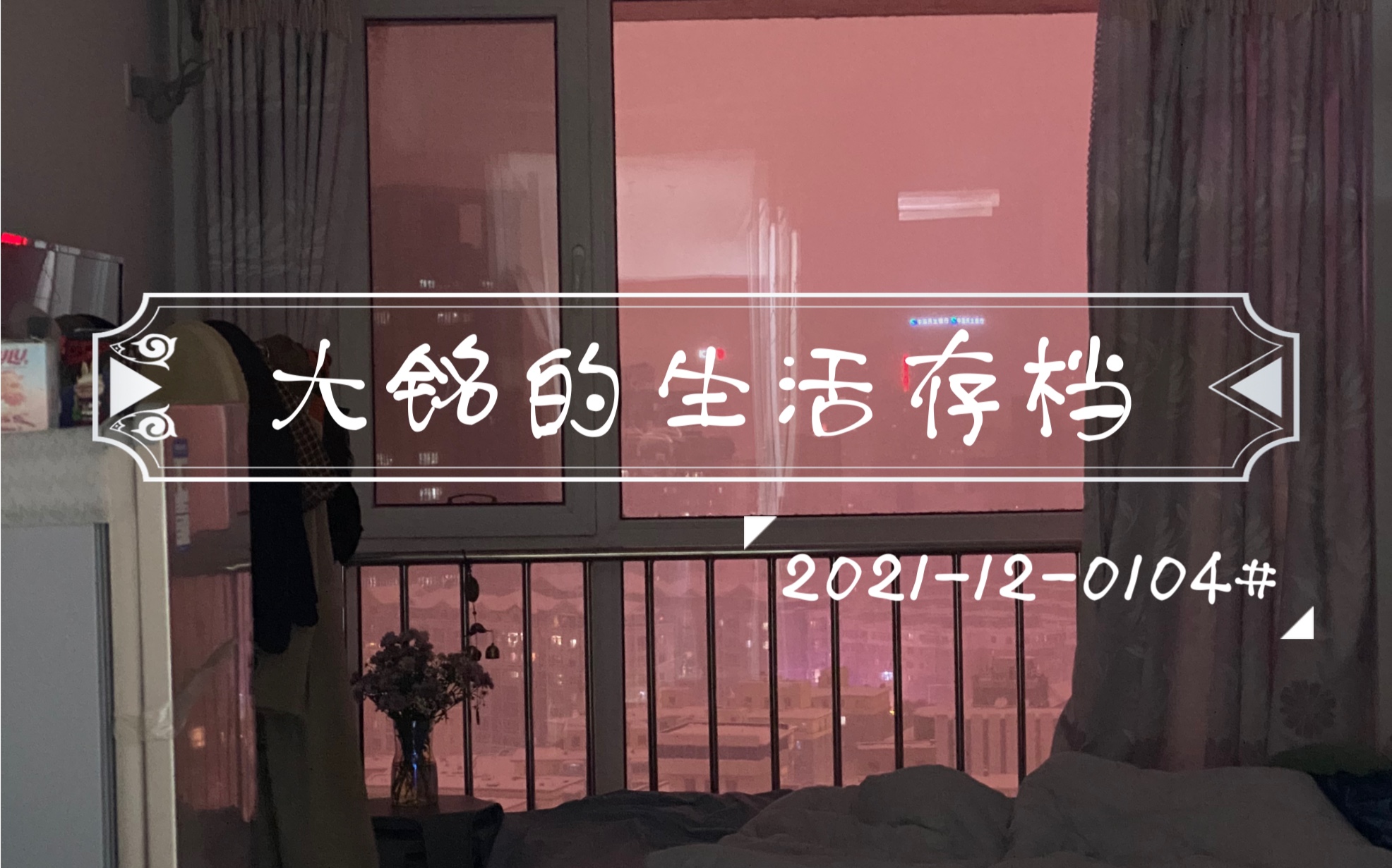 大铭的生活存档2021120104北京游记上