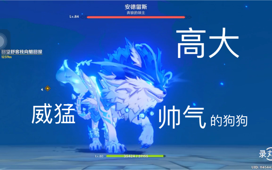 原神-萌新无伤打狼