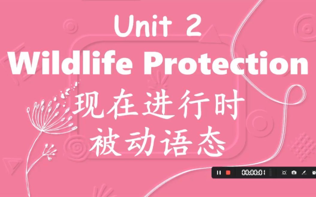 新人教版高中英语必修二Unit2《wildlife protection》语法课课件——现在进行时的被动语态哔哩哔哩bilibili