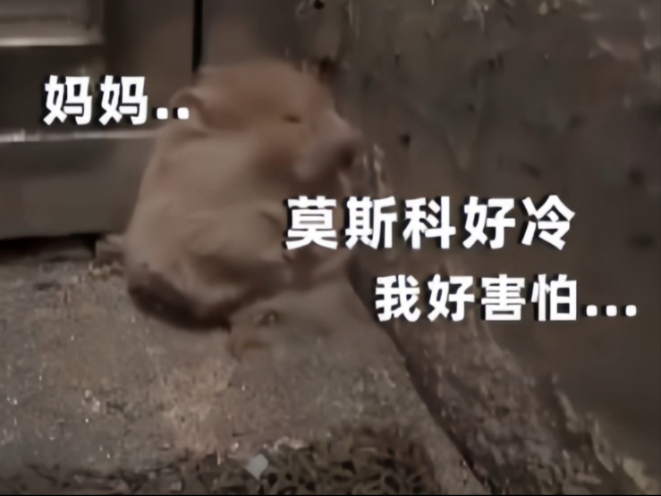只 要 是 德 语 就 画 风 突 变