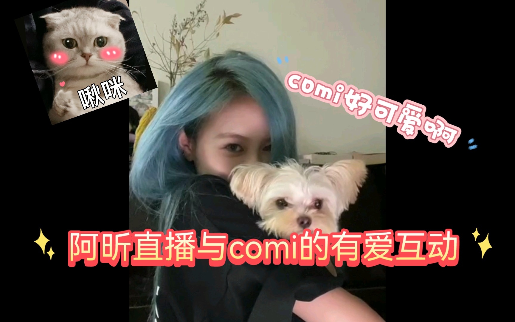 【comi】【阿昕】阿昕直播间comi的出镜的部分‖阿昕和comi的互动好有爱啊哔哩哔哩bilibili