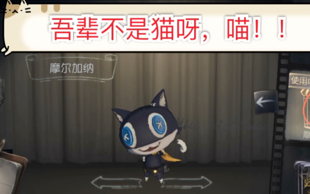 摩尔加纳:吾辈不是猫呀,喵!!(奇珍宠物实战展示)_哔哩哔哩_bilibili