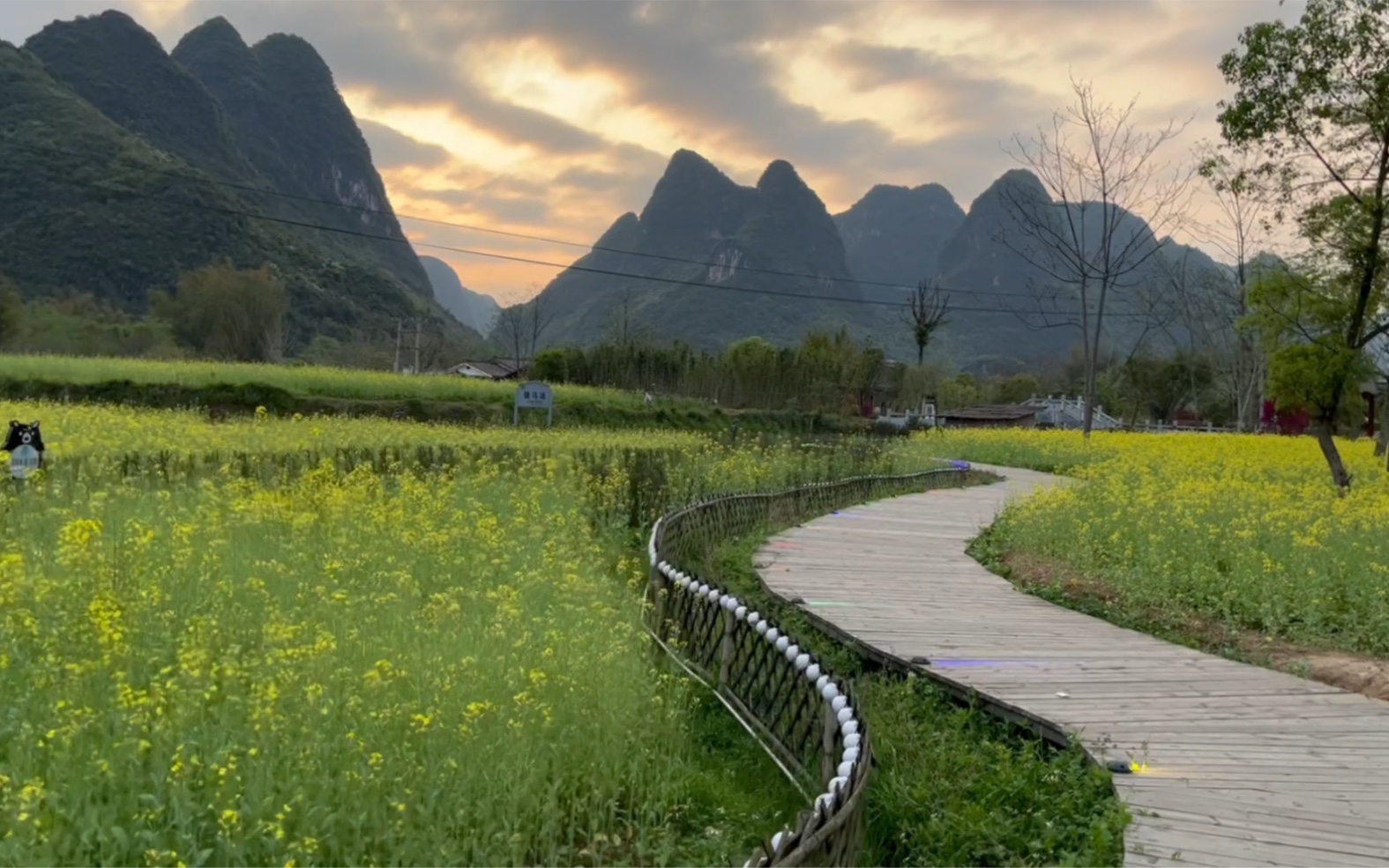 阳朔_哔哩哔哩_bilibili