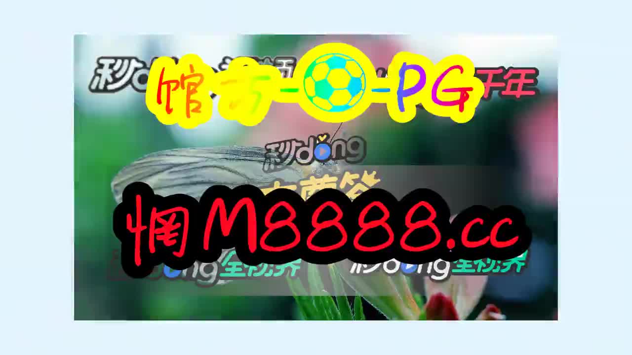 一分钟带懂你-彩虹多多官方新版本下载