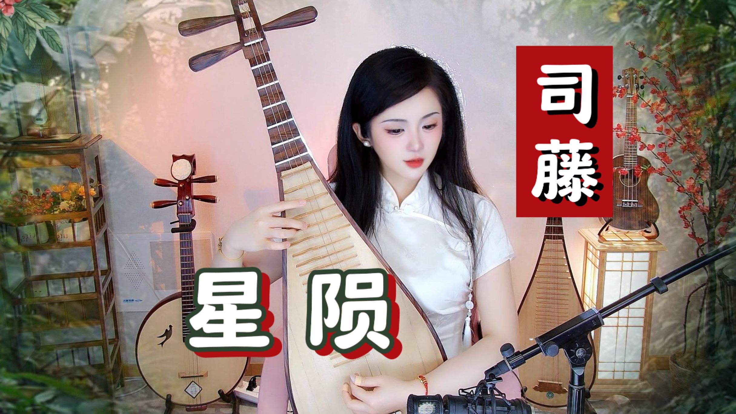 【司藤·琵琶】"星 萤萤闪烁,不必听说"—《星陨》