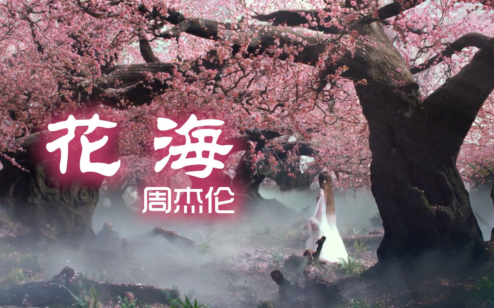 周杰伦《花海》惜这花朵悄然盛开窗台,惜这姑娘安静撑着香腮