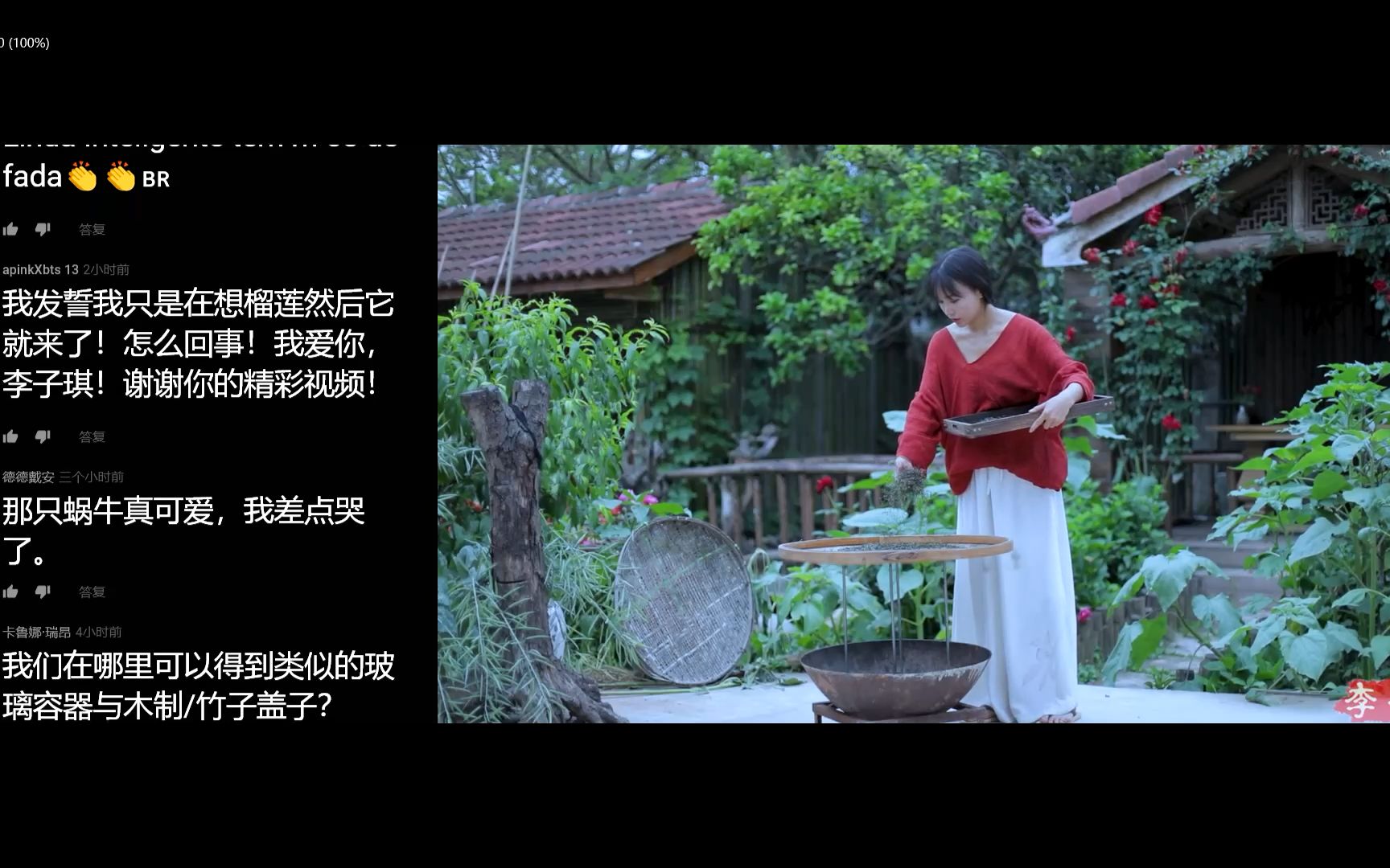 马来西亚表示自豪 李子柒最新自制《冰淇淋》油管youtube超长评论翻译