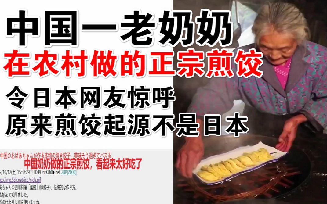 中国老奶奶做的正宗煎饺,令日本网友惊呼!原来煎饺起源不是日本哔哩哔哩bilibili