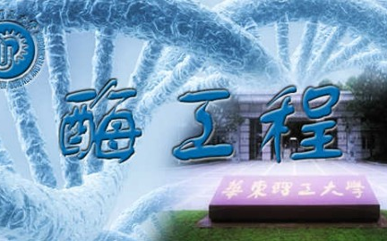 酶工程华东理工大学主讲魏东芝 33讲哔哩哔哩bilibili