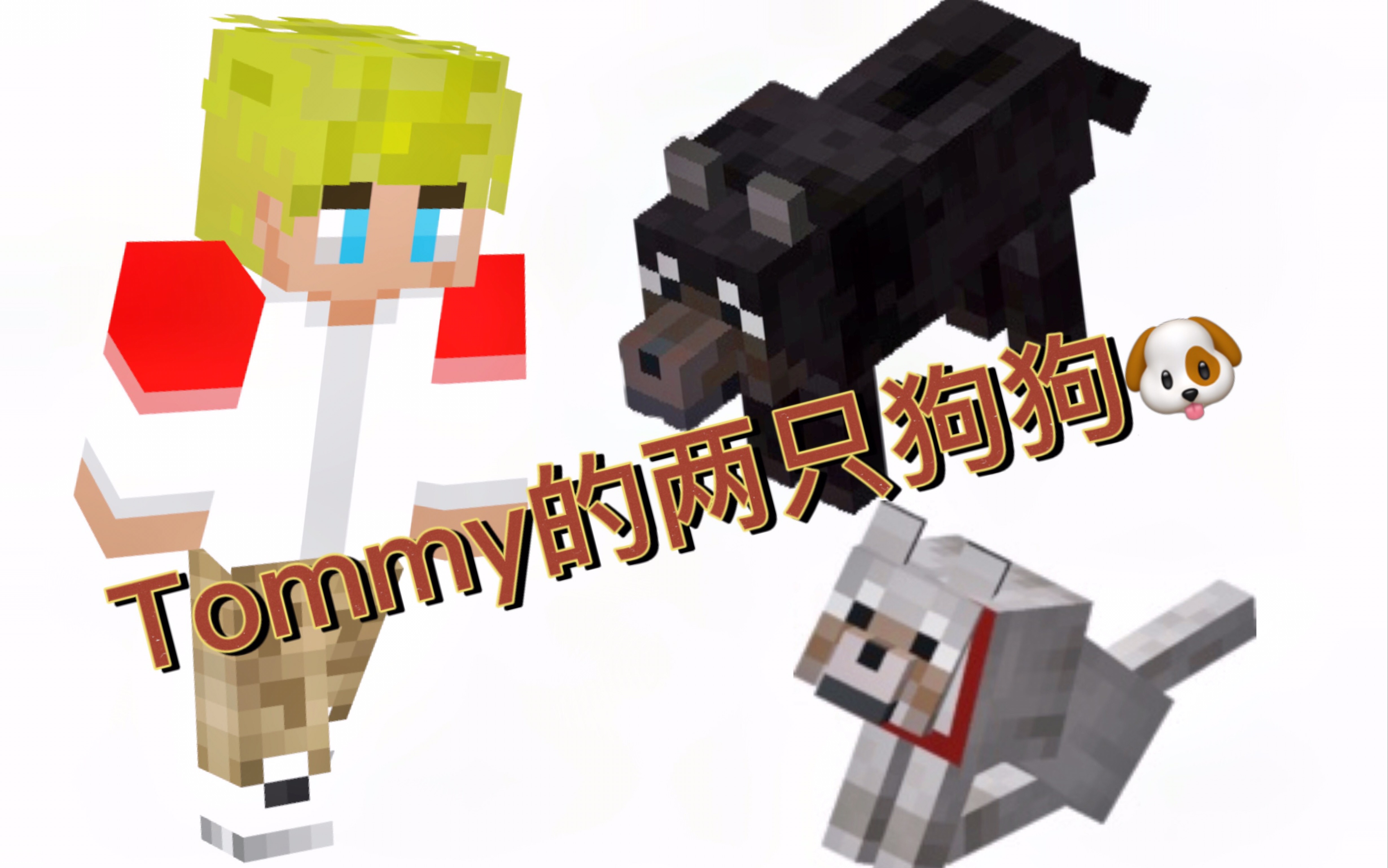 【tommyinnit】给大家介绍他的狗狗