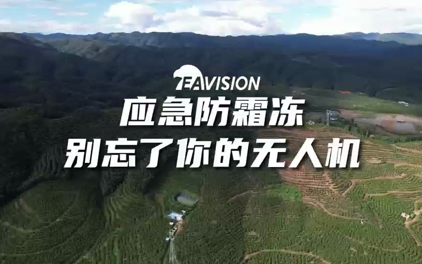 【宾川农事】应急防霜冻，别忘了你的无人机！