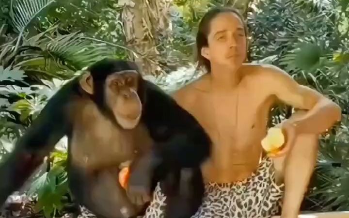 [图]小伙一手带大的黑猩猩，没想到它把小伙当成了自己兄弟
