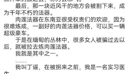 丁谣陆威小说阅读包结局在到缅北之前,我从来没听说过肉莲法器这个