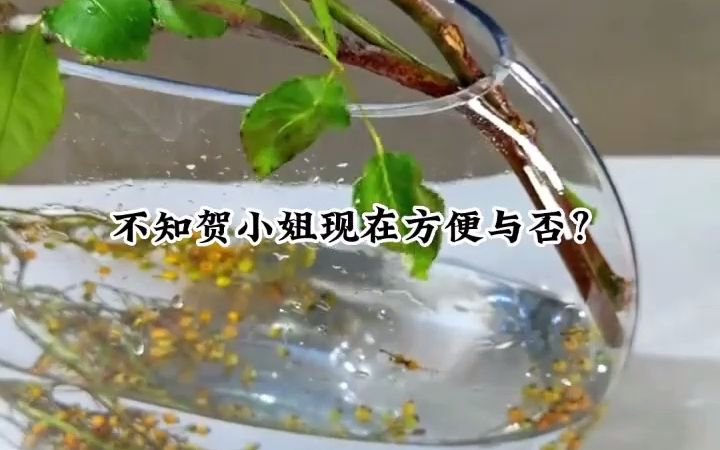 知乎小说推荐《大义万贯》未婚夫君瞧不起我的一身绫罗和万贯家财,却对一个满身补丁的农家女情有独钟.哔哩哔哩bilibili