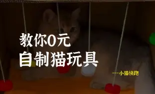 Descargar video: 教你0元自制猫玩具，安全、耐玩还耐造！