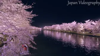 [8K]HIROSAKI 日本一の春の絶景 弘前公園の美しい桜
