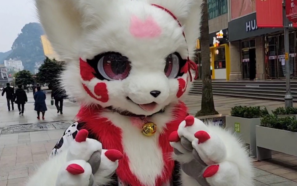 【兽装fursuit】带小狐狸逛gai_哔哩哔哩_bilibili