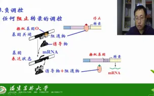 Скачать видео: 第七章 基因的表达与调控-第二节 原核生物基因调控-茶创2020级