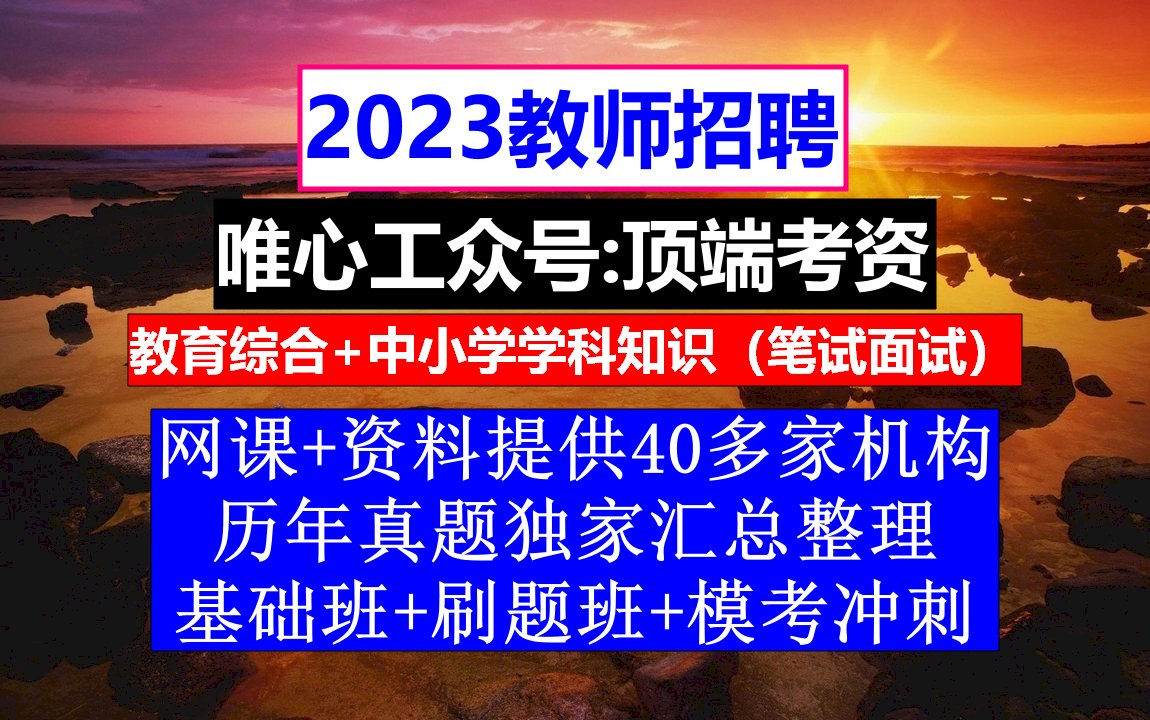 教师招聘,教师应聘个人简历模板,小学语文教师招聘教学设计模板范文哔哩哔哩bilibili