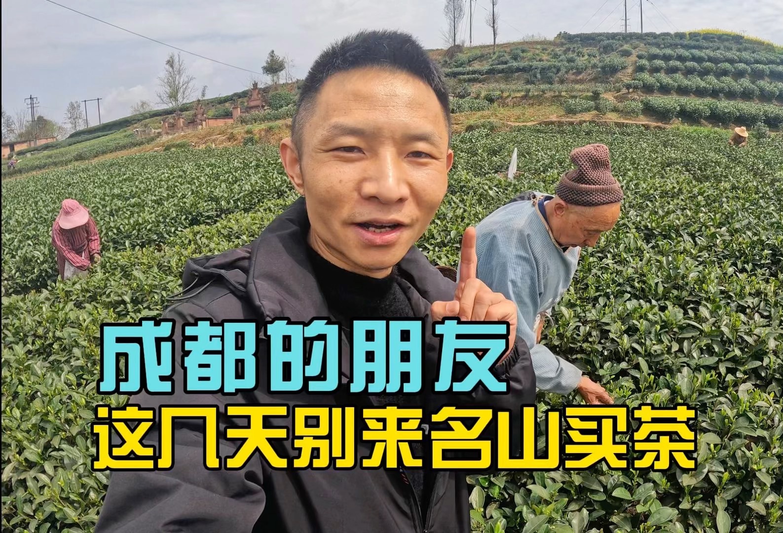 成都的朋友,这两天别来名山买茶,为什么?你看嘛……哔哩哔哩bilibili