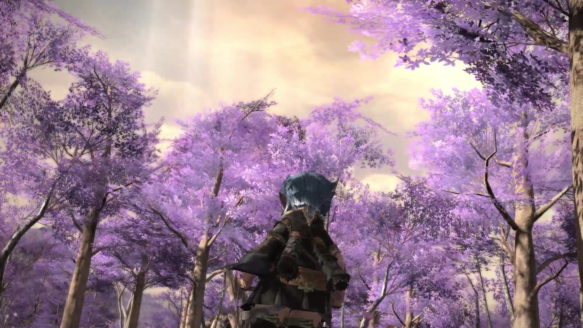 ff1450生肉漆黑的反叛者lv70主线过场动画旅馆回看