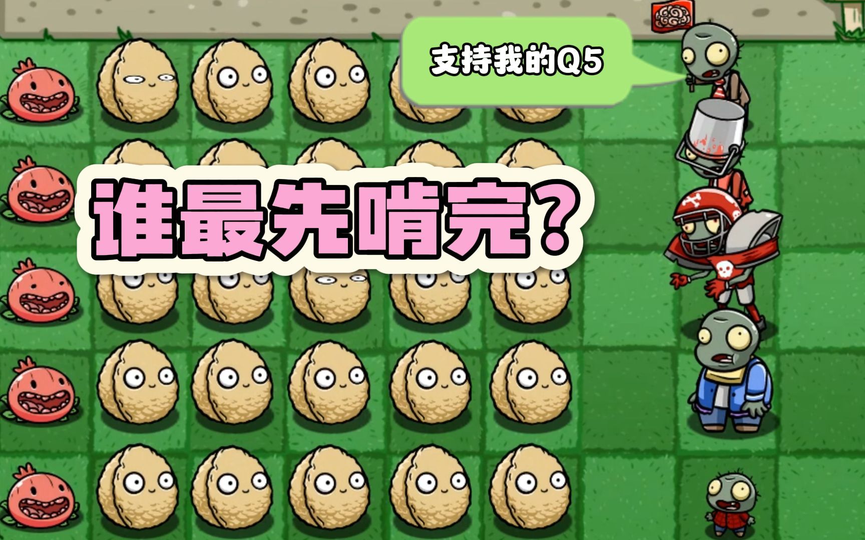 植物大战僵尸:谁最先啃完所有坚果呢?