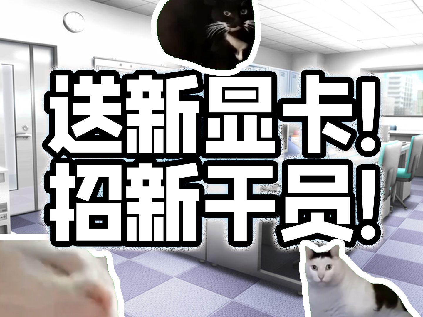 「 继续猜猜新显卡!顺便招点新干员!」|猫meme【西风显卡】【西风招聘】哔哩哔哩bilibili