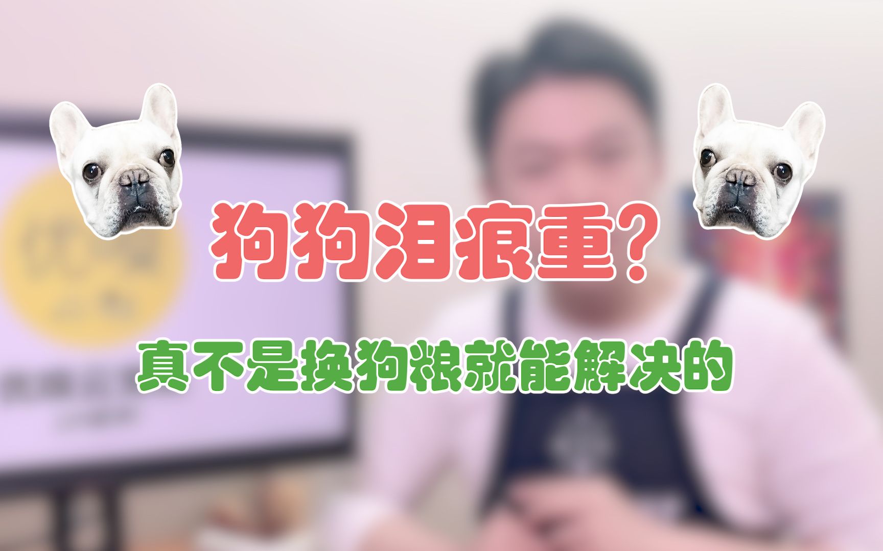 [图]狗狗泪痕严重？这条视频值得你看看