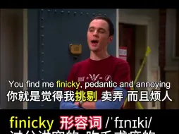 Download Video: 【影视剧学英语】吹毛求疵 过分讲究的表达  finicky