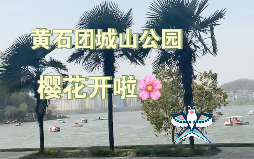 团城山公园的春日气息哔哩哔哩bilibili