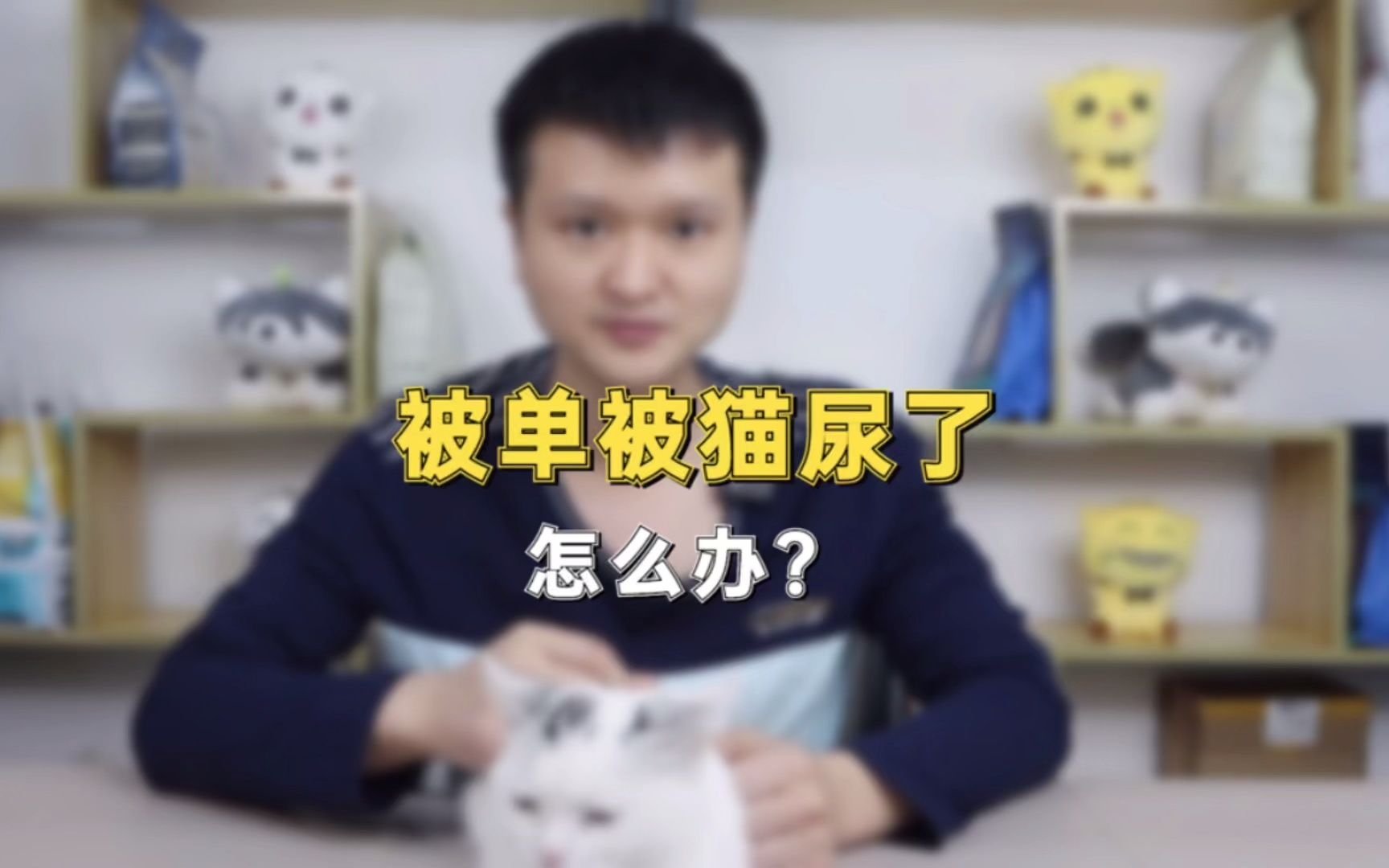 被单被猫尿了怎么办?哔哩哔哩bilibili