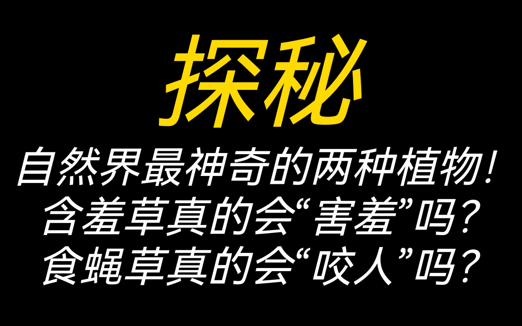 [图]自然界最神奇的两种植物探秘！含羞草真的会“害羞”吗？食蝇草真的会咬人吗？